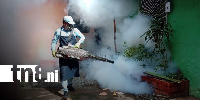Foto: Fumigación por Monseñor Lezcano, Managua / TN8