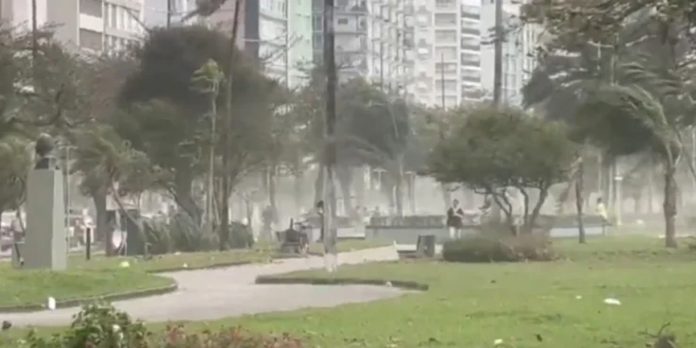 Foto: Tormentas dejan cinco muertos y daños en Brasil/Cortesía Foto: Tormentas dejan cinco muertos y daños en Brasil/Cortesía