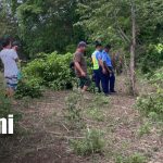 Foto: Robo de vaca causa conmoción en Rivas / TN8