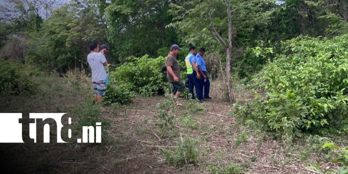 Foto: Robo de vaca causa conmoción en Rivas / TN8