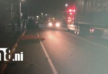 Conductor huye tras atropellar y matar a peatón en el ByPass de León Foto: Mortal accidente en León / TN8