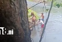 Captan a hombre golpeando a un caballo cargado de arena en Chinandega Foto: Maltrato animal en Chinandega / TN8