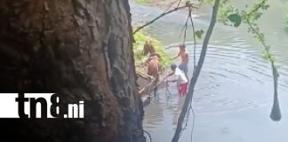 Foto: Maltrato animal en Chinandega / TN8
