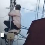 Descaro total: Captan a sujeto robando cables a plena luz del día en Managua Foto: Robo de cables en Managua / TN8