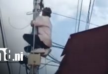 Foto: Robo de cables en Managua / TN8