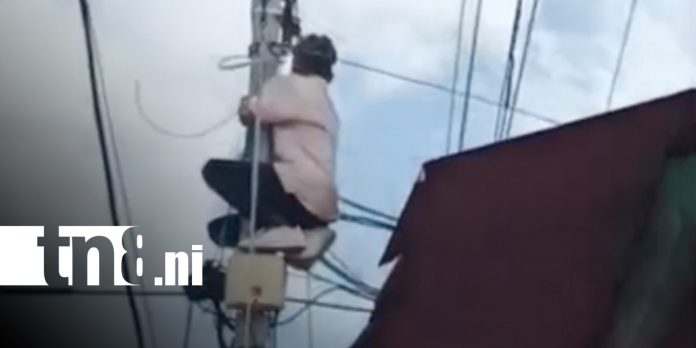 Foto: Robo de cables en Managua / TN8 Foto: Robo de cables en Managua / TN8