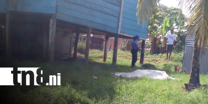 Foto: Hallan sin vida a hombre reportado como desaparecido en Bilwi / TN8