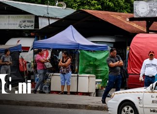 Managua: Nueva ubicación para terminal de buses hacia Carazo, Masaya, Granada y León Foto: Cambio de terminal de buses en Managua / TN8
