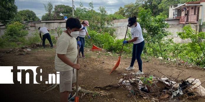 Foto: Limpieza en la comunidad con la Alcaldía de Managua / TN8 Foto: Limpieza en la comunidad con la Alcaldía de Managua / TN8