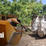 Foto: Equinos muertos en terreno de Granada / TN8