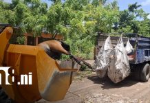 Foto: Equinos muertos en terreno de Granada / TN8