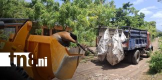 Foto: Equinos muertos en terreno de Granada / TN8