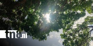 Foto: Pronóstico del clima en Nicaragua / TN8