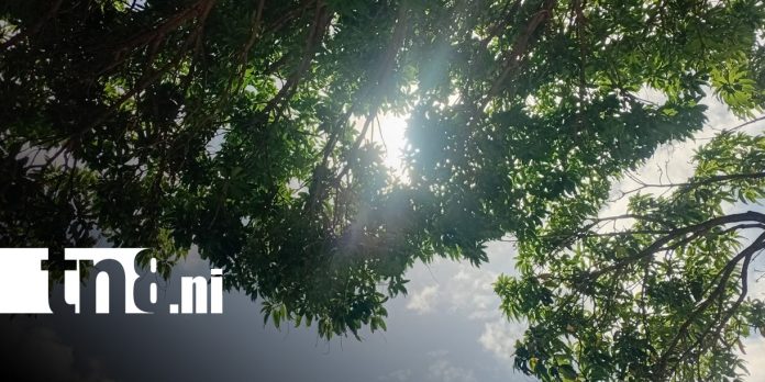 Foto: Pronóstico del clima en Nicaragua / TN8