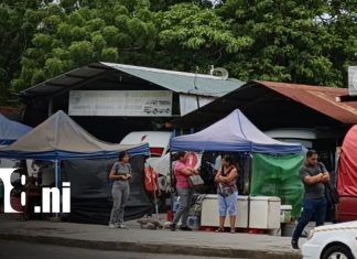 Foto: Cambio de terminal de buses en Managua / TN8