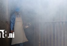 Brigadas de salud de Managua visitan hasta 700 viviendas en nueva campaña contra el dengue Foto: Fumigación en Managua / TN8
