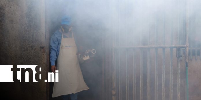Foto: Fumigación en Managua / TN8 Foto: Fumigación en Managua / TN8