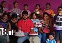 Dulce talento: Concluyen Curso de Decoración de Queques en Ocotal Foto: Elaboración de queques desde Ocotal / TN8