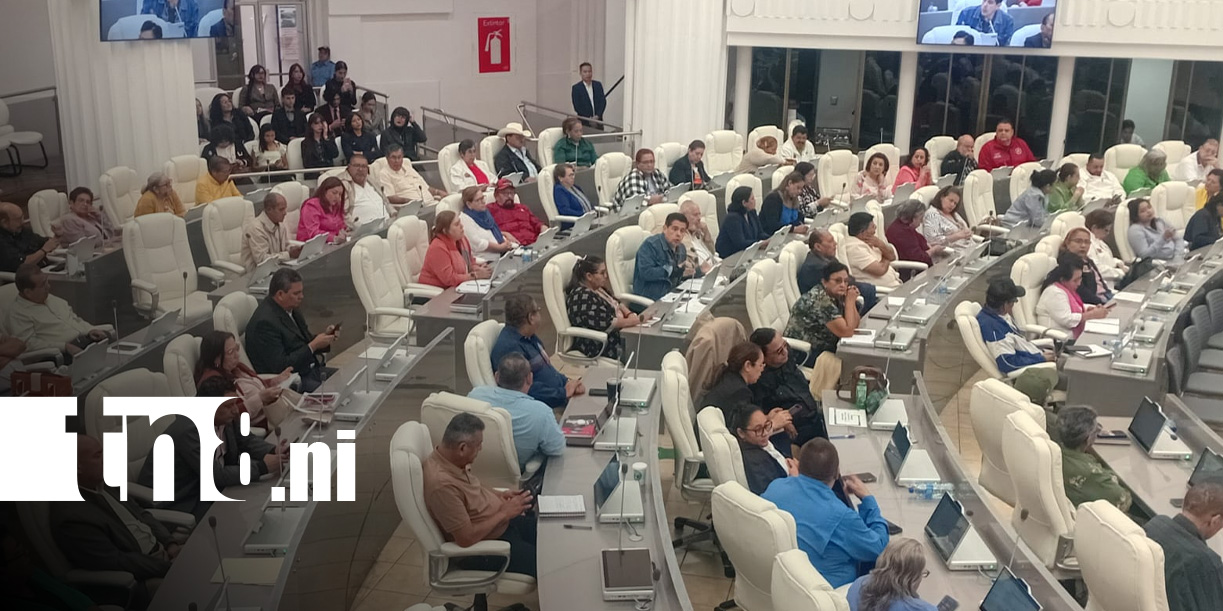 Foto: Aprobaciones de decretos en la Asamblea Nacional de Nicaragua / TN8