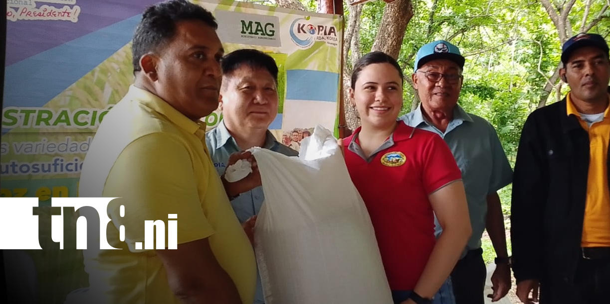 Foto: Semillas de calidad para productores de Nandaime / TN8