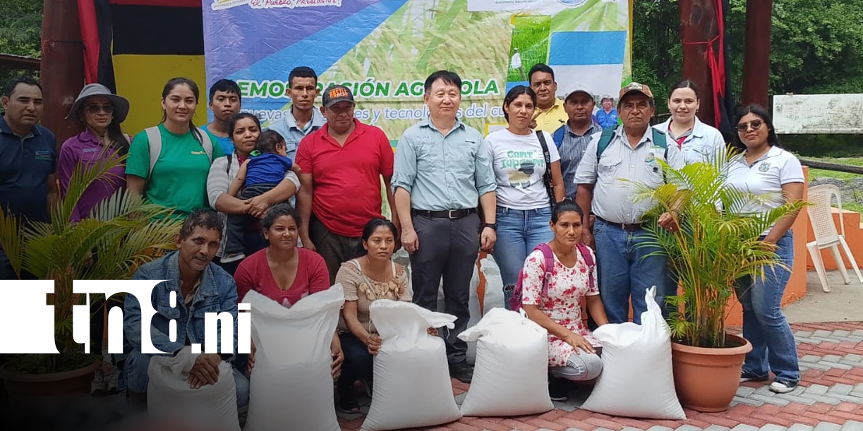 Foto: Semillas de calidad para productores de Nandaime / TN8