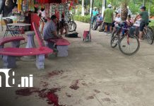 Foto: Violencia en un parque de Nindiría por ataque con cuchillo / TN8