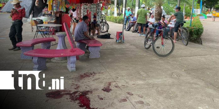 Foto: Violencia en un parque de Nindirí por ataque con cuchillo / TN8 Foto: Violencia en un parque de Nindirí por ataque con cuchillo / TN8