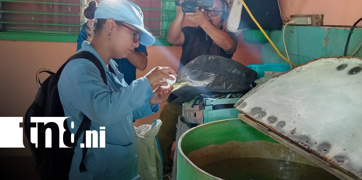 Foto: Fumigación por Monseñor Lezcano, Managua / TN8