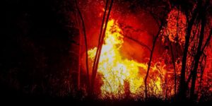 Foto:Más de 20.000 hectáreas afectadas por incendios forestales en Tolima/cortesia