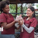 Estudiantes de veterinaria celebran su día con muchas actividades prácticas Foto: Estudiantes del INATEC celebran el Día del Veterinario/Tn8