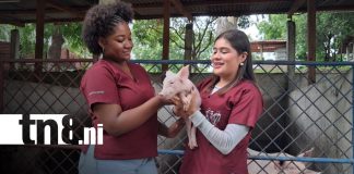 Foto: Estudiantes del INATEC celebran el Día del Veterinario/Tn8