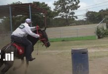 Los Barrileros se incorporan al programa de fiestas patronales de Nandaime Foto: Los Barrileros se incorporan al programa de fiestas patronales de Nandaime/TN8