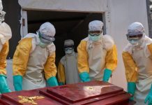 OMS y autoridades de RDC intensifican acciones para contener brote de ébola Foto: OMS intensifica respuesta ante brote de ébola en República Democrática del Congo/Cortesía
