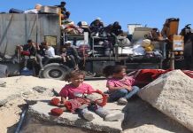 Foto: UNICEF denuncia muerte de 300 niños en Gaza/Cortesía