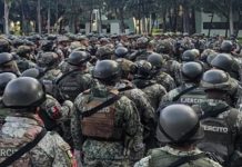México despliega 1,557 militares para proteger la producción de aguacate en Michoacán Foto: Aguacate: Sedena despliega 1,557 militares en Michoacán/Cortesía