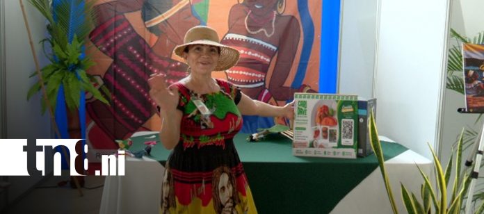 1 Foto: Afinan los preparativos para el Festival Internacional de las Artes, cultura y Gastronomía/TN8