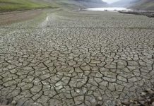 Puerto Rico enfrenta una histórica sequía y restringe el agua a más de 500.000 personas Foto: Puerto Rico enfrenta una histórica sequía y restringe el agua a más de 500.000 personas / Cortesía