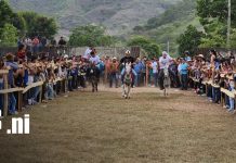 Desfile y carreras de burros llenan de tradición las fiestas patronales en Madriz Foto: Desfile y carreras de burros llenan de tradición las fiestas patronales en Yalagüina/TN8