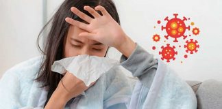 Foto: ¿Tienes gripe? Estos remedios caseros pueden aliviar la tos y la congestión / Cortesía