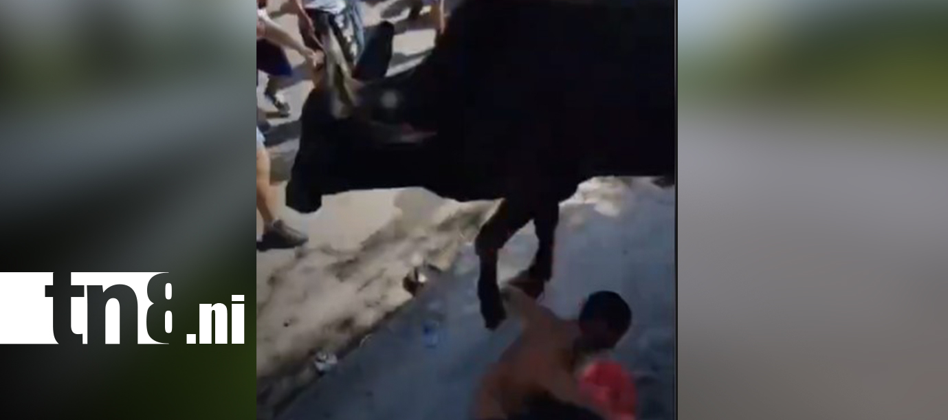 Foto: Hombre lucha por su vida tras cornada en Granada/TN8