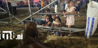 Foto: Feria Ganadera Agostina impulsa los negocios y la innovación en Managua/TN8