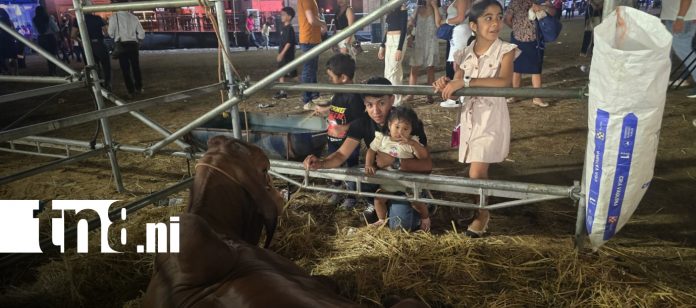 Foto: Feria Ganadera Agostina impulsa los negocios y la innovación en Managua/TN8