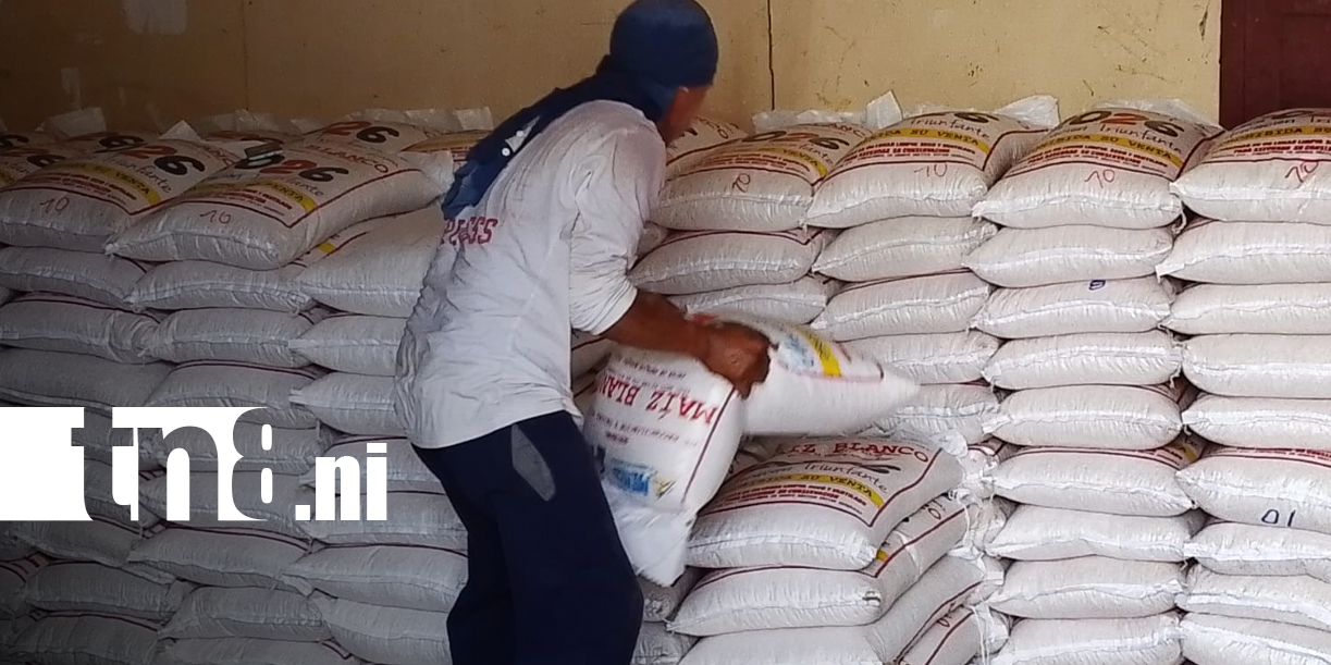Foto: MINED garantiza última entrega de merienda escolar para 7,325 estudiantes de Nandaime/TN8