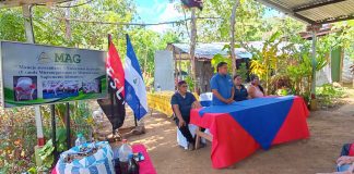 Foto: MAG promueve prácticas para mejorar la producción de cerdos en Masaya/Cortesía