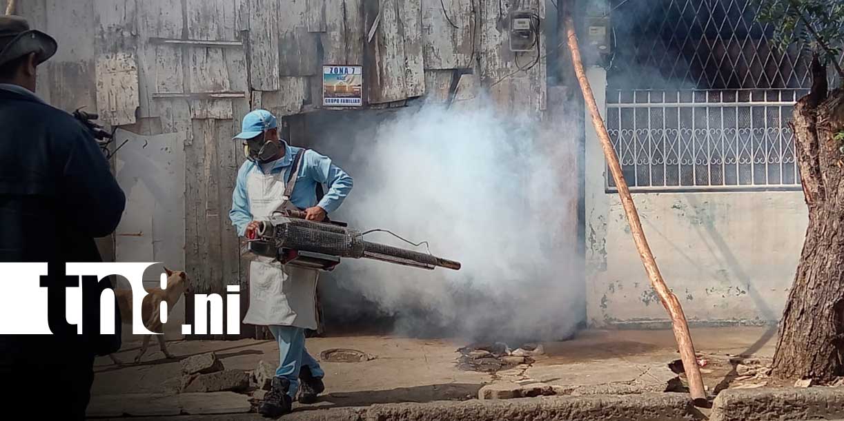 Foto: Managua refuerza ofensiva contra el mosquito transmisor del dengue/TN8