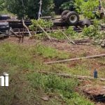 Foto: Camión ganadero vuelca en Wapi y deja un fallecido y un grave/TN8