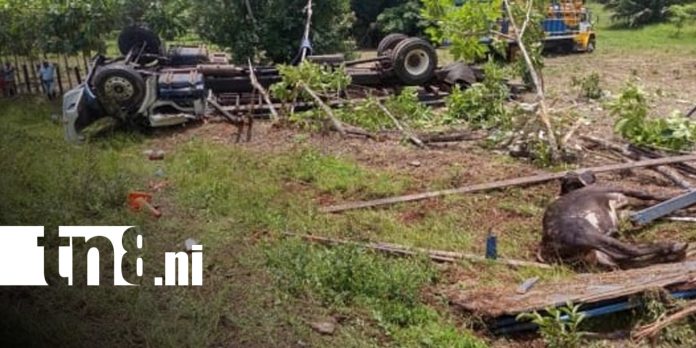 Foto: Camión ganadero vuelca en Wapi y deja un fallecido y un grave/TN8