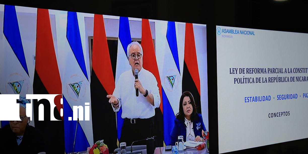 Foto: Reforma constitucional llegará al Parlamento este 1.º de septiembre para su aprobación/TN8