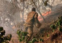 Colombia enfrenta 32 incendios activos en medio de temperaturas extremas Foto: Colombia, en alerta por incendios/Cortesía