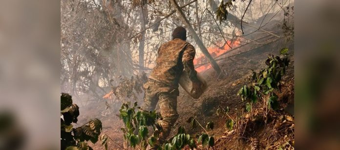 Foto: Colombia, en alerta por incendios/Cortesía Foto: Colombia, en alerta por incendios/Cortesía